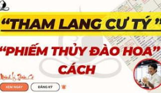 LÁ SỐ MỆNH THAM LANG CƯ TÝ